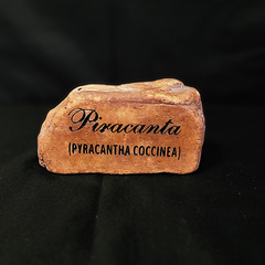 PIEDRA PIRACANTA (PYRACANTHA COCCINEA)