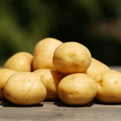 Bag Batatas - Conserva por até 4 semanas na internet