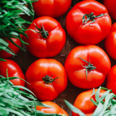 Bag Tomates - Até 2 semanas de tomates frescos - zero waste ce