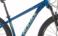 Bicicleta Audax ADX 300 na internet