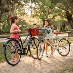 BICICLETA DE PASEO SANTA BÁRBARA B8205 RODADO 26 en internet