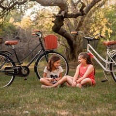 BICICLETA DE PASEO SANTA BÁRBARA B8205 RODADO 26 - Tienda Walher