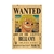 Cartazes de Procurado One Piece na internet