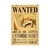 Cartazes de Procurado One Piece - loja online