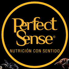 Banner de la categoría Perfect Sense