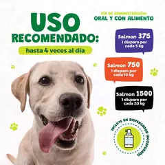 Waggy's Aceite Perros CBD en internet