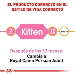 Imagen de Gatito Persa Receta Pollo, 1.3 kg