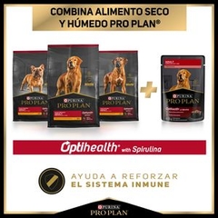 Pro Plan Alimento Húmedo para Perro Adulto Receta Carne en Salsa, 85 g en internet