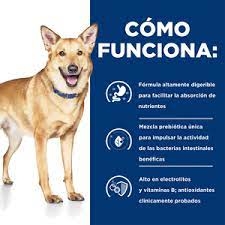 i/d Alimento Seco para Perros - Distrito Mascota