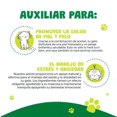 Waggy's Aceite Gatos CBD - Distrito Mascota