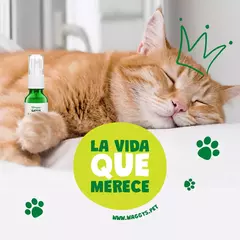 Imagen de Waggy's Aceite Gatos CBD