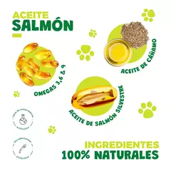 Waggy's Aceite Gatos CBD en internet