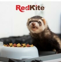 ALIMENTO HURON / FERRET DIET