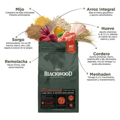 Blackwood Alimento para Perro de Todas las Edades con Cordero y Arroz Integral - comprar en línea