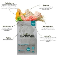 Blackwood Alimento para Perro Libre de Granos con Pollo y Chícharos - comprar en línea