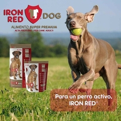 Iron Red Active Performance - comprar en línea