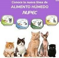 Nupec alimento húmedo felino