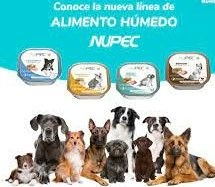 Alimento húmedo