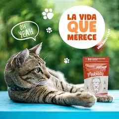 Mobility Gatos - tienda en línea