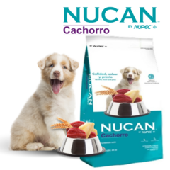 Nucan Cachorro