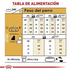 Yorkshire Terrier Adulto 1.14kg - comprar en línea