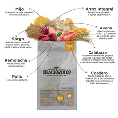 Blackwood Alimento para Perro de Piel y Estómago Sensible con Cordero y Arroz Integral - comprar en línea