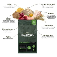 Blackwood Alimento para Perro con Sobrepeso o Edad Avanzada con Pollo y Arroz Integral - comprar en línea