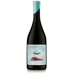 NODO PINOT NOIR AIRE