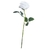 Rosa blanca x1 - comprar online