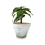 Plantita Grande Gris - tienda online