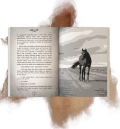 PEDRA LISA - Coletivo Editorial Literabooks - Publicação de Livro Lojas Virtuais Nuvemshop