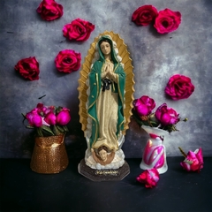 Virgen de Guadalupe en internet