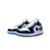 Jordan Low Concord - Chroma Shoes