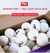 DHS 40+ 3 Stars Ball White (1-12 boxes 120 pieces) - online store