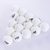 DHS 40+ 3 Stars Ball White (1-12 boxes 120 pieces)