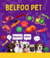 Banner de Belfoo Soluções Criativas