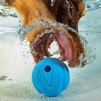 Chuckit The Whistler Ball Large