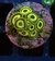 Zoas