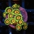 Zoas