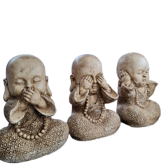 Trio Buda Bebe Sabios en internet