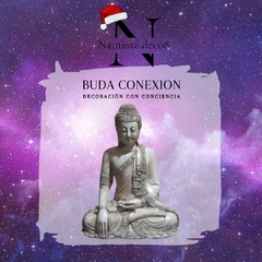 Buda conexión