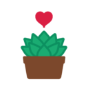 Logo de Loja online de VasoseSuculentas