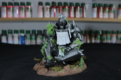 Full Metal Alchemist Alphonse