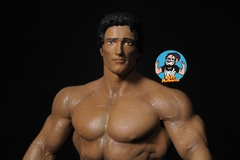 Frank Zane na internet