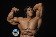 Arnold schwarzenegger Pose 1 na internet