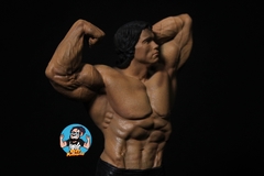 Arnold schwarzenegger Pose 1 - comprar online