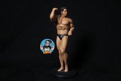 Arnold schwarzenegger Pose 3 - comprar online