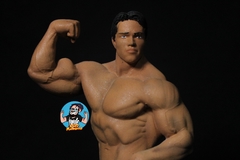 Arnold schwarzenegger Pose 3 na internet