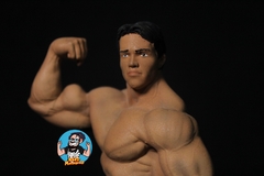 Arnold schwarzenegger Pose 3 - loja online