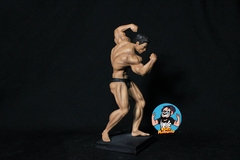 Arnold schwarzenegger Pose 2 - Nerd Marombeiro